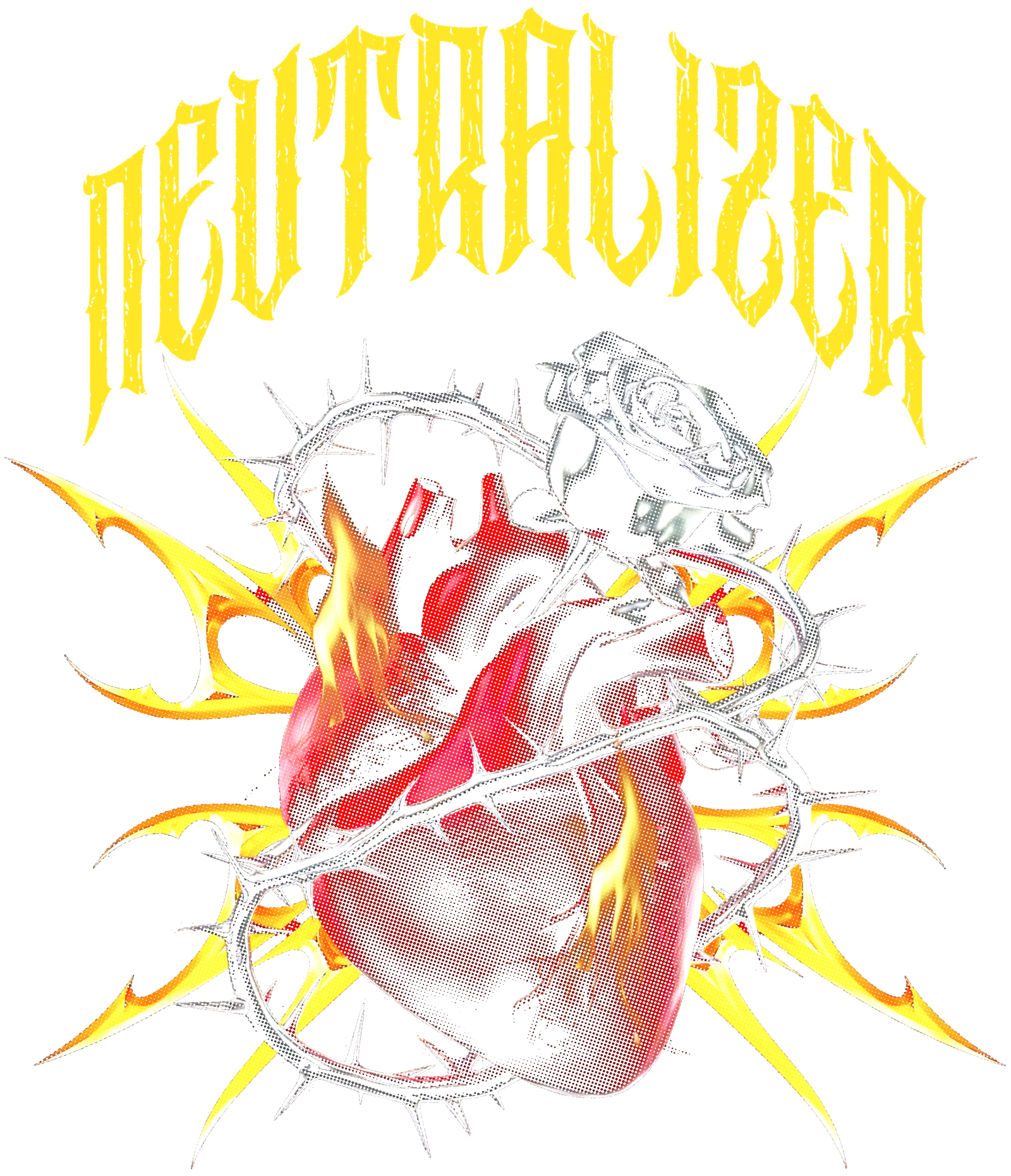 Nuevo Diseño 3
