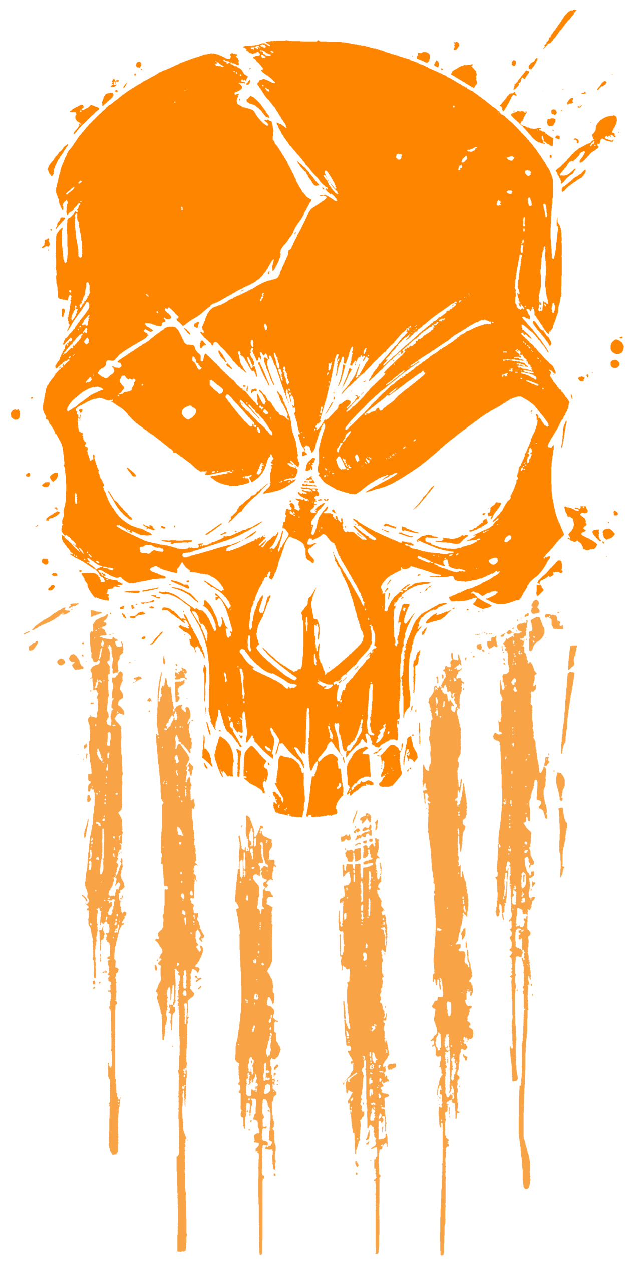 Nuevo Diseño 12